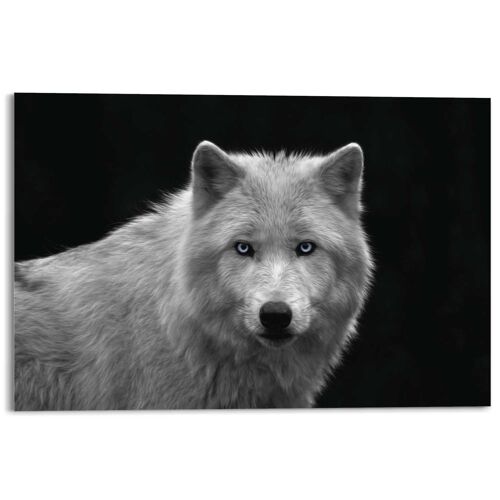 Acryl Art White Wolf 120x80 cm