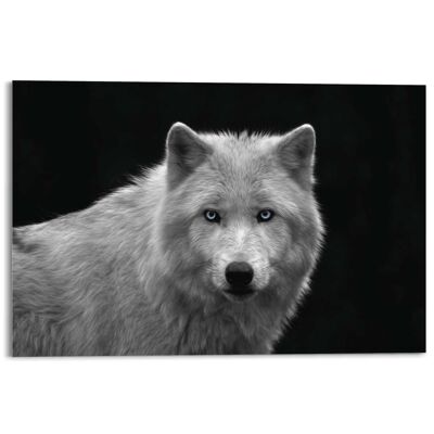 Acryl Art Weißer Wolf 120x80 cm