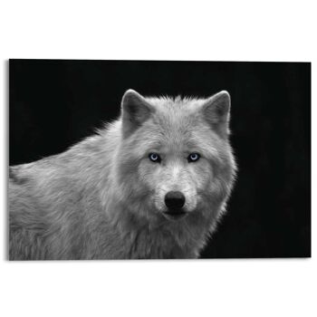 Tableau Acrylique Loup Blanc 120x80 cm 1