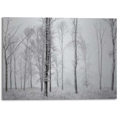 Alu Art Bosque Invernal 140x100 cm