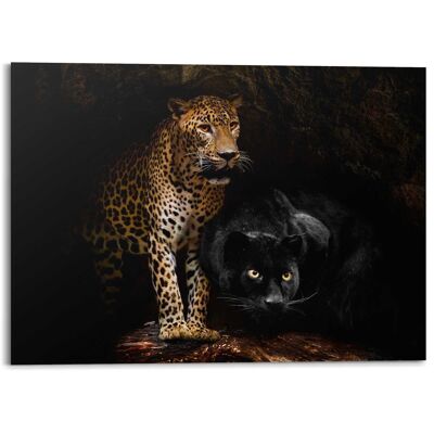 Alu Art Caved cats 140x100 cm