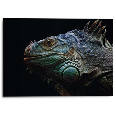 Alu Art Iguana 70x50 cm