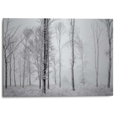 Alu Art Bosque Invernal 70x50 cm