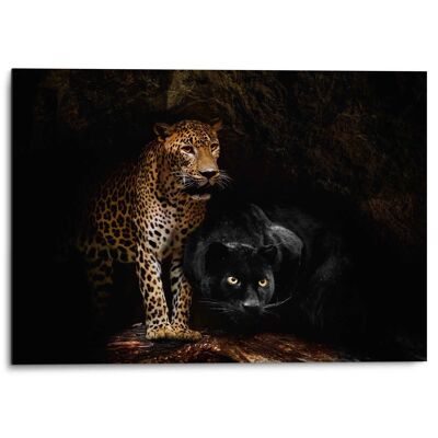 Alu Art Caved cats 70x50 cm
