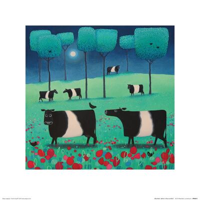 Ailsa Black (Belties in Green and Blue) , 40 x 40cm , PPR45911