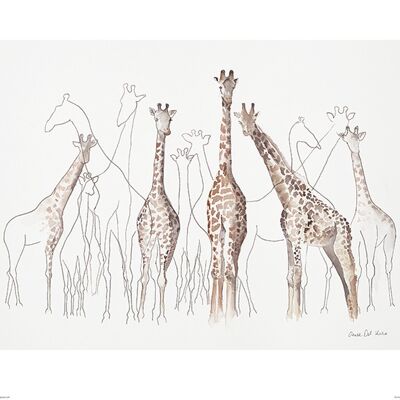 Aimee Del Valle (Toutes les Girafes) , 40 x 50cm , PPR43658