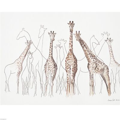 Aimee Del Valle (Toutes les Girafes) , 40 x 50cm , PPR43658