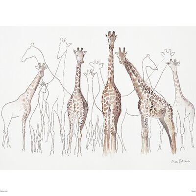 Aimee Del Valle (Toutes les Girafes) , 30 x 40cm , PPR44707