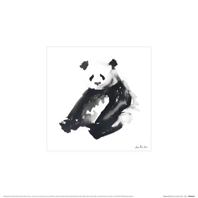Aimee Del Valle (Panda Time) , 30 x 30cm , PPR48455