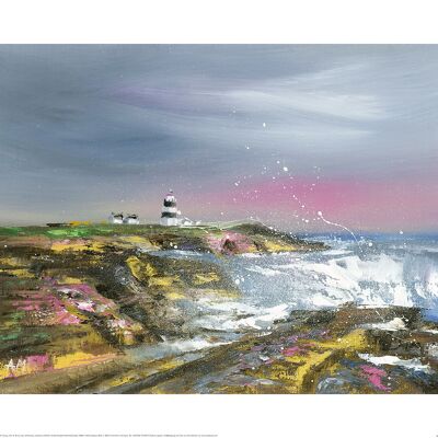 Alison McIlkenny (Hook Head Lighthouse) , 40 x 50cm , PPR43942
