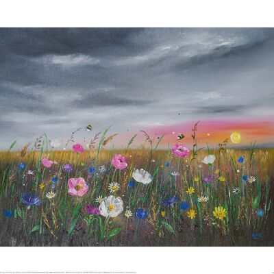 Alison McIlkenny (Sunset over Wildflowers) , 40 x 50cm , PPR43947