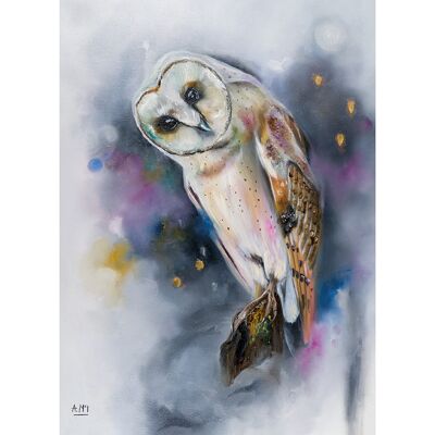 Alison McIlkenny (Owl Watching) , 30 x 40cm , PPR54090