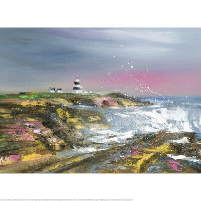 Alison McIlkenny (Hook Head Lighthouse) , 30 x 40cm , PPR54093