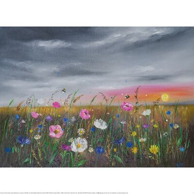 Alison McIlkenny (Sunset over Wildflowers) , 30 x 40cm , PPR54098