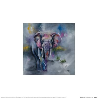 Alison McIlkenny (Elephant Stride) , 30 x 30cm , PPR48477