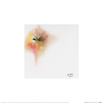 Alison McIlkenny (Bumblebee Pink) , 30 x 30cm , PPR48476