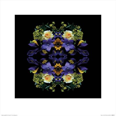 Alyson Fennell (Flowers of Eden) , 40 x 40cm , PPR45574