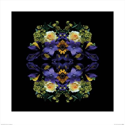 Alyson Fennell (Flowers of Eden) , 60 x 60cm , PPR46072