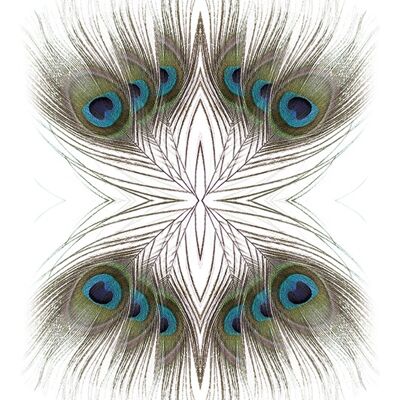 Alyson Fennell (Peacock Feathers Kaleidoscope) , 60 x 80cm , PPR40907