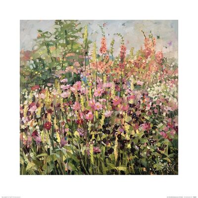 Anne-Marie Butlin (Spring Garden with Cosmos) , 60 x 60cm , PPR46310