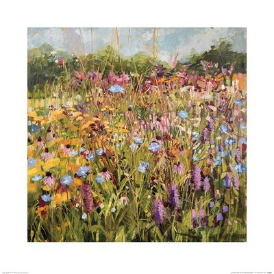 Anne-Marie Butlin (Summer Field with Scabious) , 60 x 60cm , PPR46308