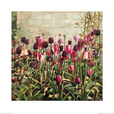 Anne-Marie Butlin (Tulip Garden) , 60 x 60cm , PPR46314