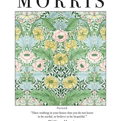 William Morris (Norwich) , 40 x 50cm , PPR43911