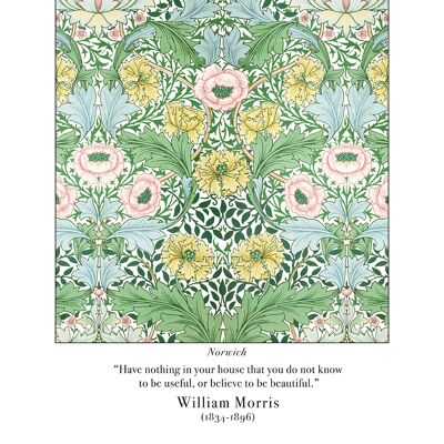 William Morris (Norwich) , 40 x 50cm , PPR43911