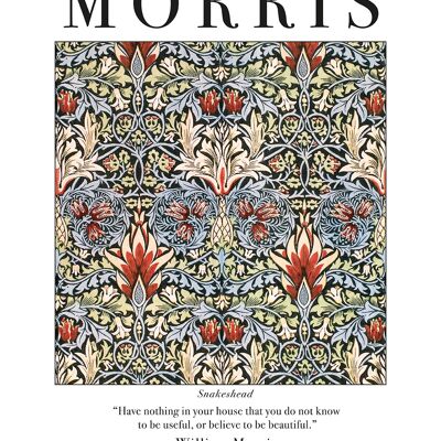 William Morris (Snakeshead) , 40 x 50cm , PPR43914