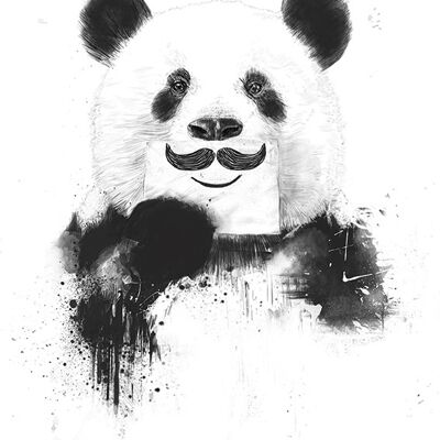 Balazs Solti (Funny Panda) , 40 x 50cm , PPR43470