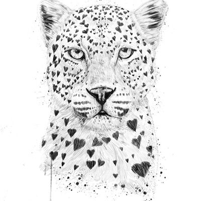 Balazs Solti (Lovely Leopard) , 40 x 50cm , PPR43472