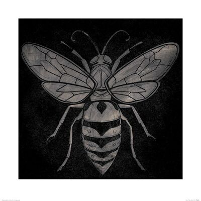 Barry Goodman (Wasp) , 60 x 60cm , PPR46062