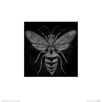 Barry Goodman (Wasp) , 30 x 30cm , PPR48148
