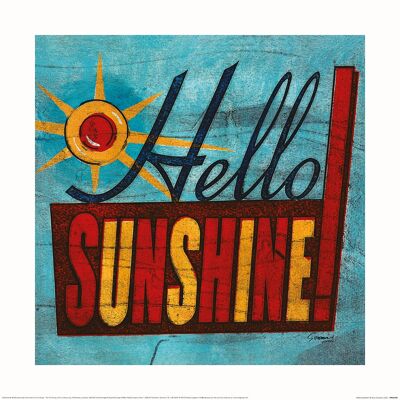 Barry Goodman (Hello Sunshine) , 40 x 40cm , PPR55038