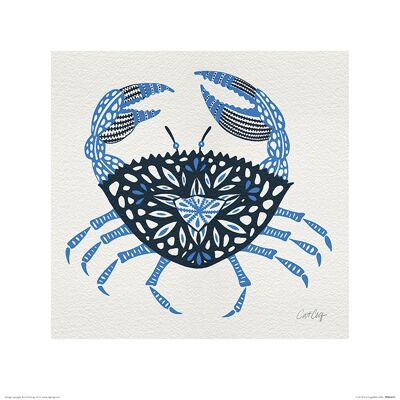 Cat Coquillette (Crab) , 40 x 40cm , PPR45659