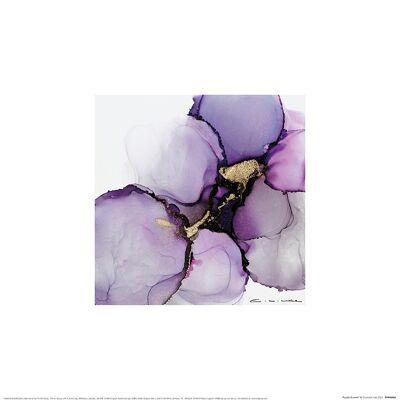Charlotte Vale (Purple Growth) , 30 x 30cm , PPR48460