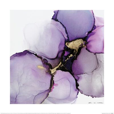 Charlotte Vale (Purple Growth) , 40 x 40cm , PPR55005