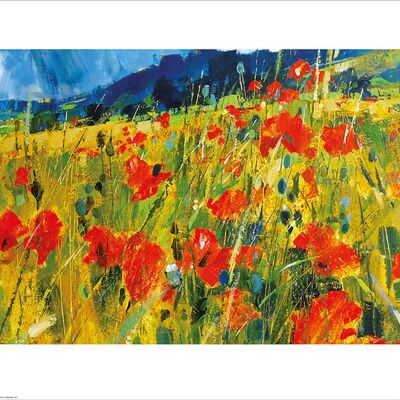 Chris Forsey (South Downs Poppies) , 40 x 50cm , PPR43279