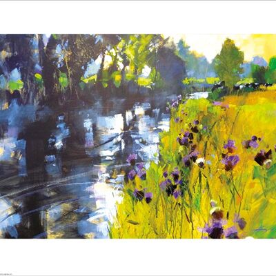 Chris Forsey (Sun and Meadow Thistles) , 40 x 50cm , PPR43280