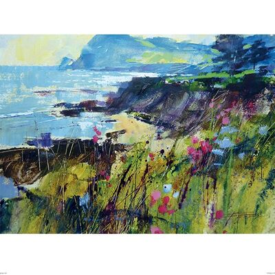 Chris Forsey (Getting to the Point, Prawle) , 40 x 50cm , PPR43460
