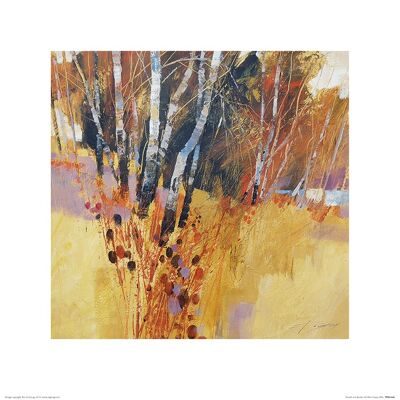 Chris Forsey (Teasels and Birches) , 40 x 40cm , PPR45646