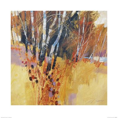 Chris Forsey (Teasels and Birches) , 60 x 60cm , PPR46185