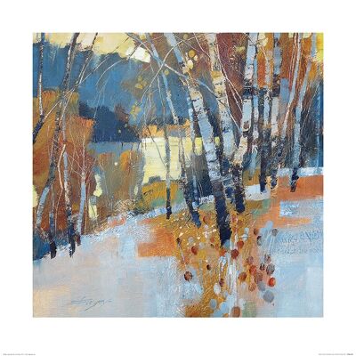 Chris Forsey (Birch, Frost and Winter Lake) , 60 x 60cm , PPR46186
