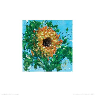 Clare Sykes (The World Revolves Around the Sun) , 30 x 30cm , PPR48246