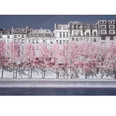 David Clapp (River Seine Infrared, Paris) , 60 x 80cm , PPR40711