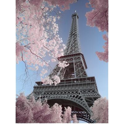David Clapp (Eiffel Tower Infrared, Paris) , 60 x 80cm , PPR40714