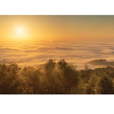 David Clapp (Mist over the River Exe, Devon, England) , 50 x 100cm , PPR41122