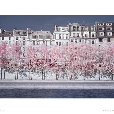 David Clapp (River Seine Infrared, Paris) , 30 x 40cm , PPR44371