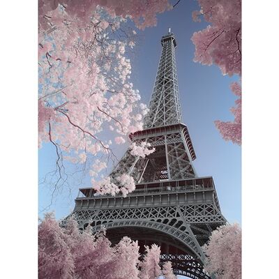 David Clapp (Eiffel Tower Infrared, Paris) , 30 x 40cm , PPR44374