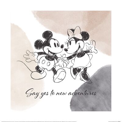 Mickey & Minnie (Say Yes to New Adventures) , 40 x 40cm , PPR46020